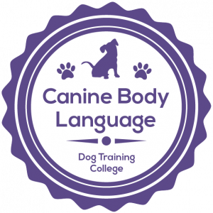 Canine Body Language February 26th 3pm GMT