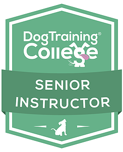 Dog Training College Senior Instructor