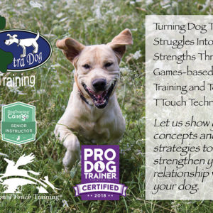 Kick Starter Training Package from Xtra Dog Training