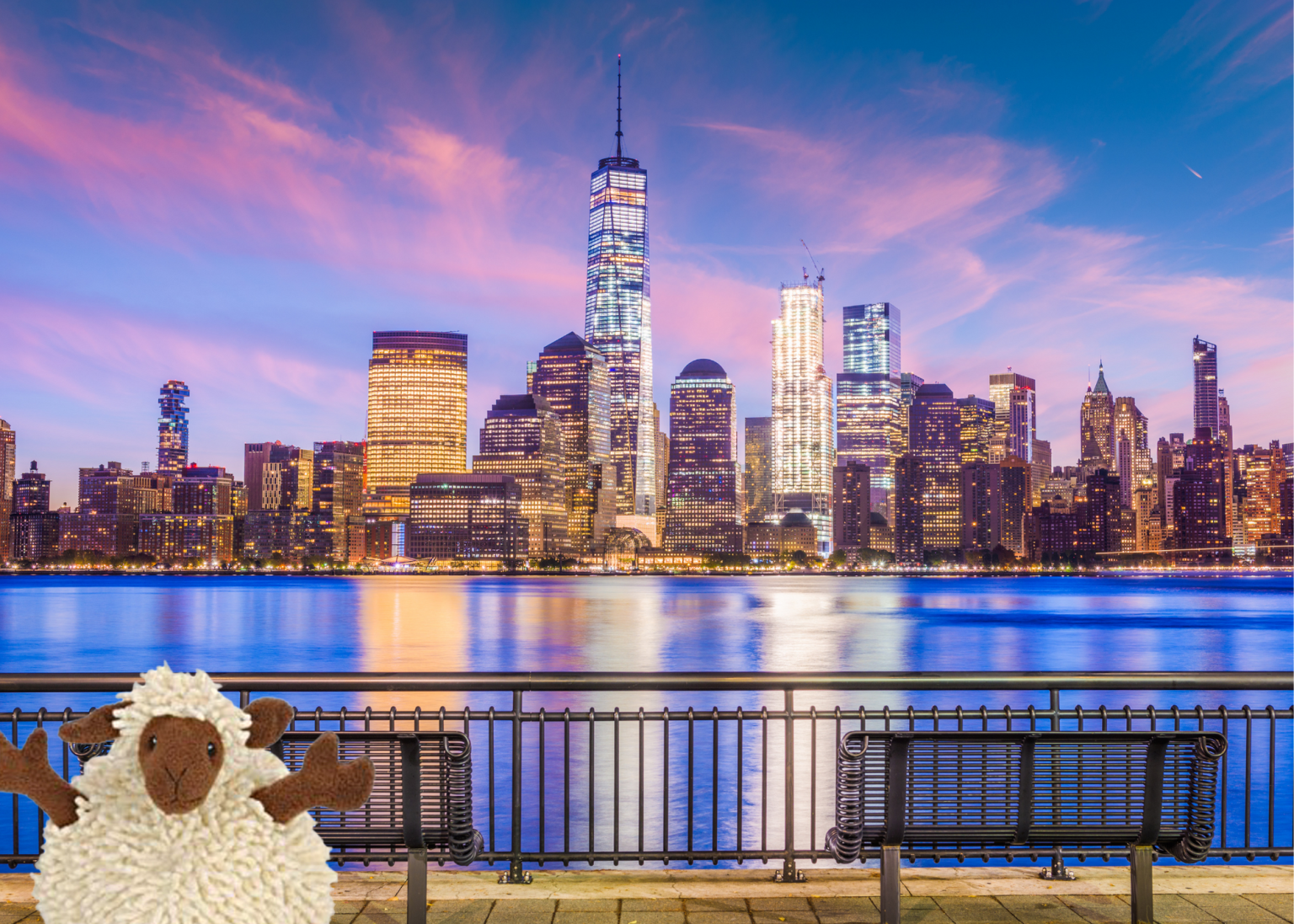 Lamb with New York Sky Line
