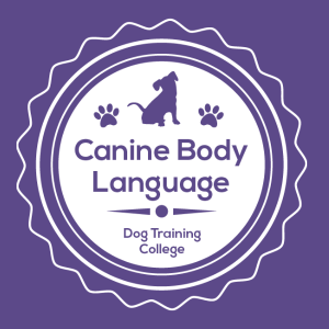 Canine Body Language February 26th 3pm GMT