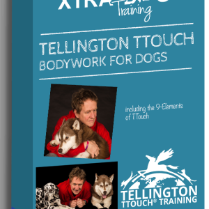 Tellington TTouch® Bodywork with Alex Wilson