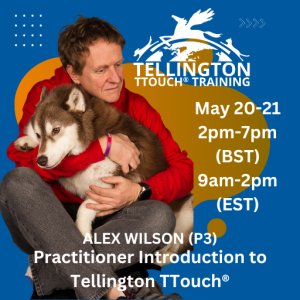 Practitioner Interactive and Online Introduction to Tellington TTouch (May 13th-14th)