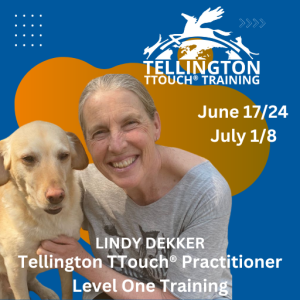 Interactive and Online Tellington TTouch for dogs Level One June/July 23