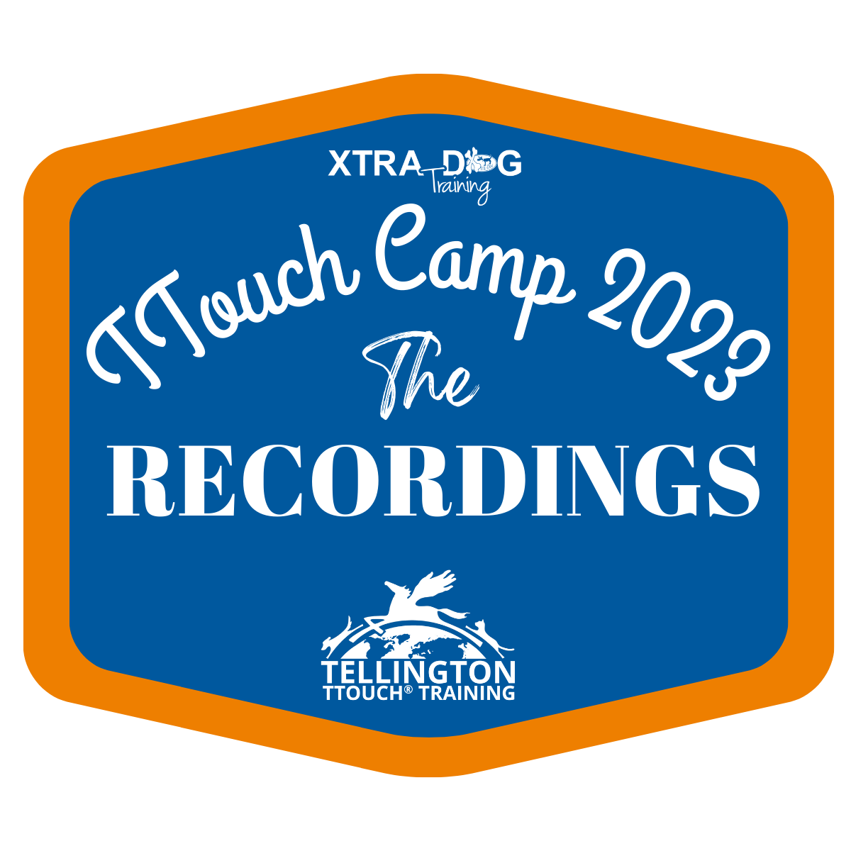 You are currently viewing Tellington TTouch® Camp 2023 – Recordings