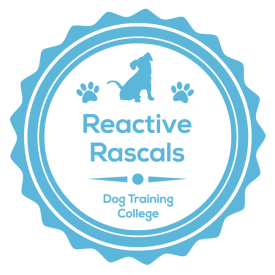reactive rascals