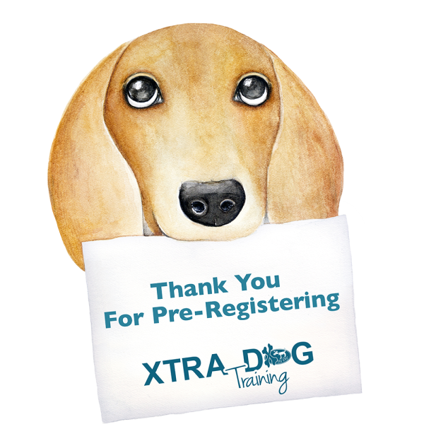 thank you for pre-registering2
