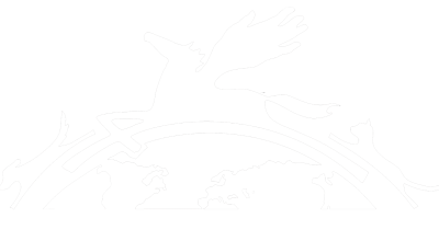 ttouch logo-international